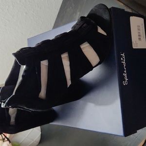 Splendid black booties